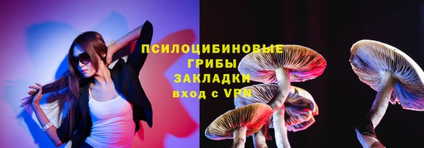 ешки Надым