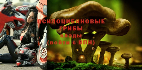 трава Нея