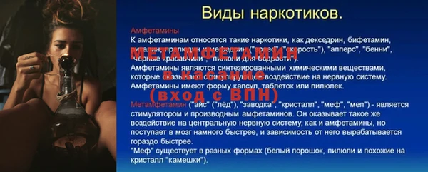 сатива Нефтекумск