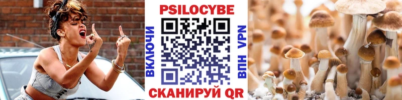 Купить закладки  Коммунар  Псилоцибиновые грибы Cubensis 